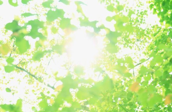 腰痛になりやすい姿勢｜南柏（南柏カイロプラクティック）