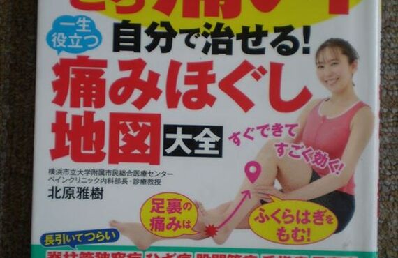 あちこち痛いが自分で治せる｜南柏カイロプラクティック