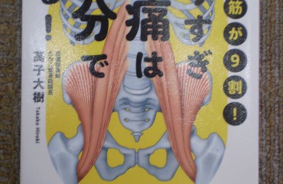 座りすぎ腰痛は1分で治る｜(南柏)南柏カイロプラクティック